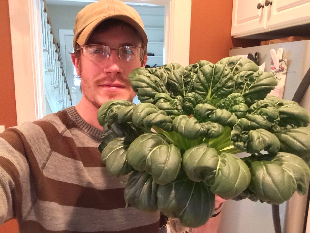 The first plant.