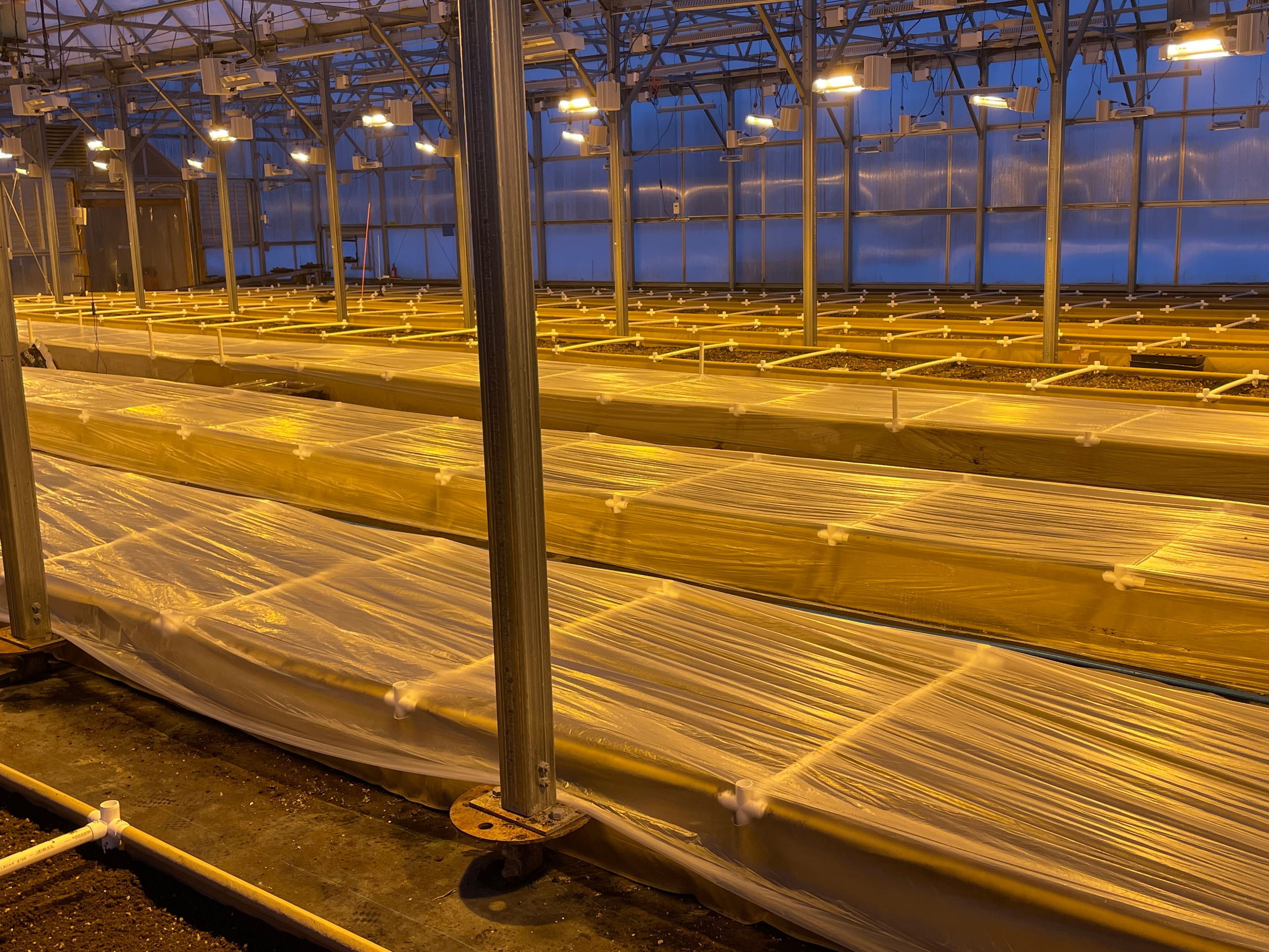 Organic Soil Beds