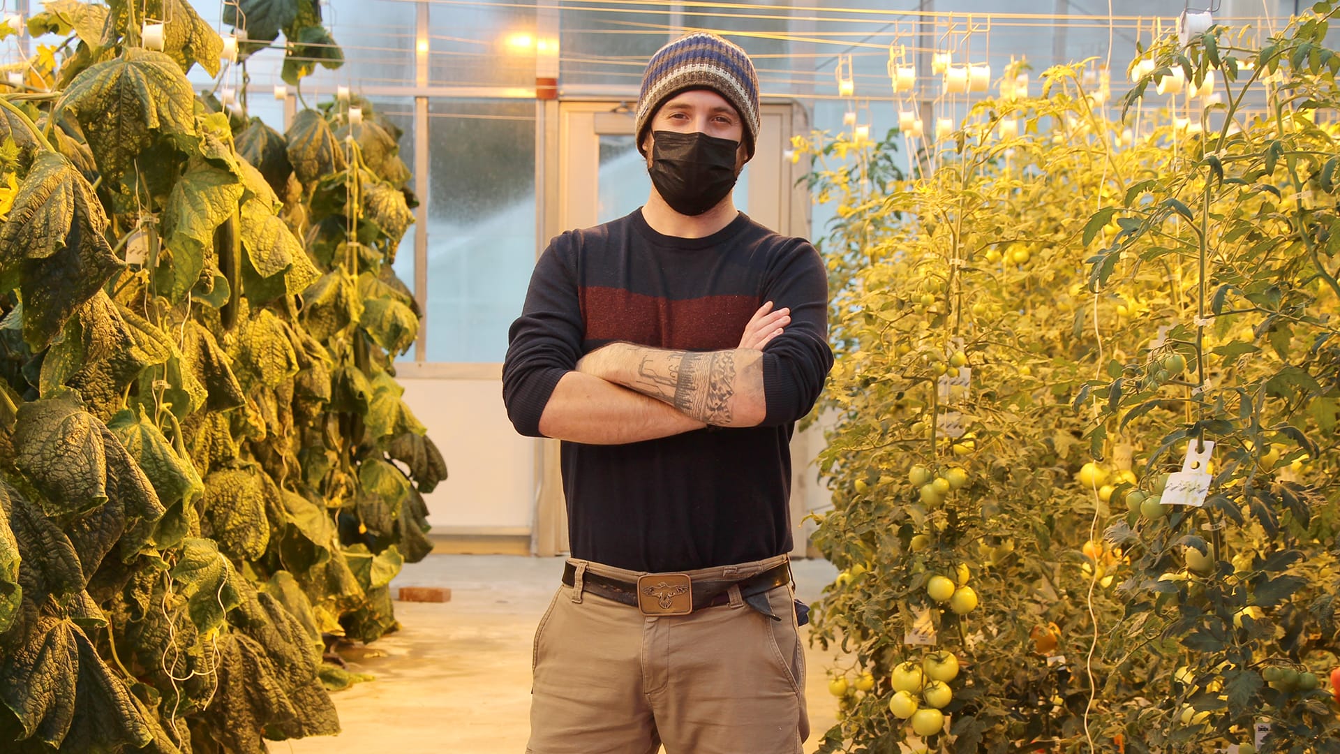 Cornell's Greenhouse labs