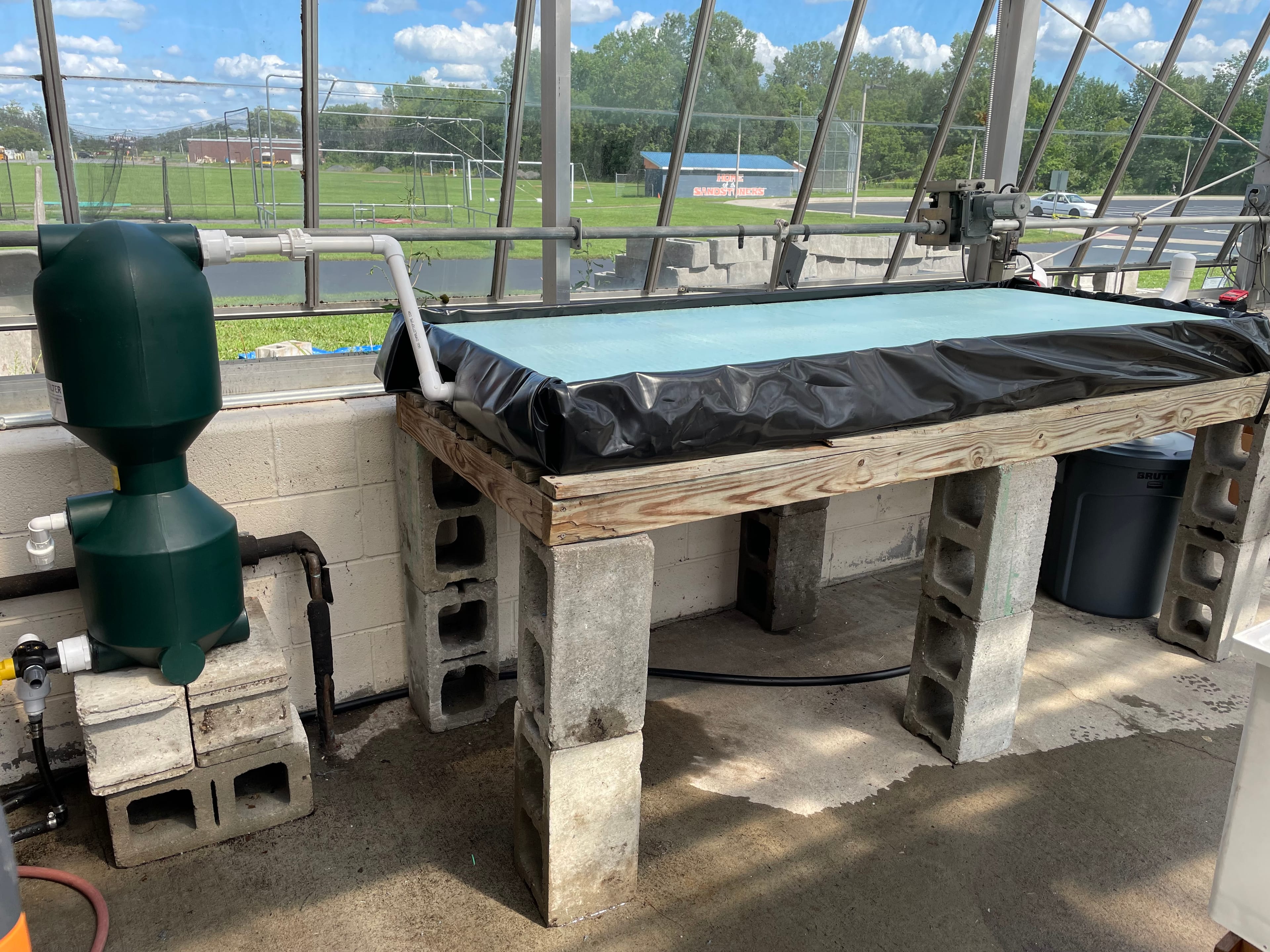 Budget aquaponics at a school